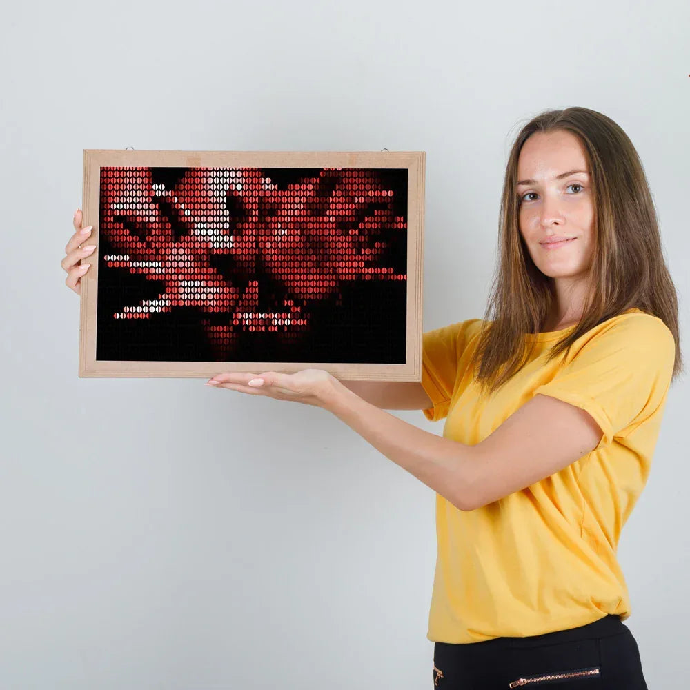 Woman holding a framed digital art piece with red and black abstract design on a white background
